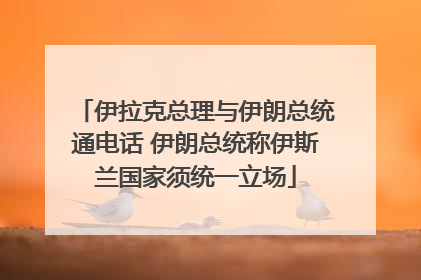 伊拉克总理与伊朗总统通电话 伊朗总统称伊斯兰国家须统一立场