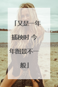 又是一年插秧时 今年图景不一般