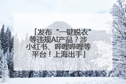 发布“一键脱衣”等违规AI产品？涉小红书、哔哩哔哩等平台！上海出手