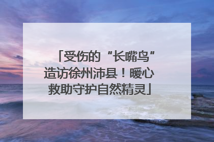 受伤的“长嘴鸟”造访徐州沛县！暖心救助守护自然精灵