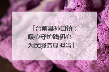台前县孙口镇：暖心守护践初心 为民服务显担当
