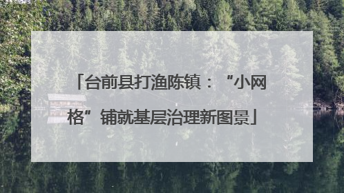 台前县打渔陈镇：“小网格”铺就基层治理新图景