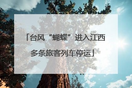 台风“蝴蝶”进入江西 多条旅客列车停运