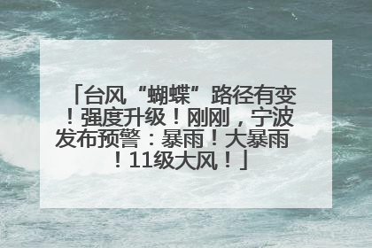 台风“蝴蝶”路径有变！强度升级！刚刚，宁波发布预警：暴雨！大暴雨！11级大风！