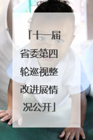 十一届省委第四轮巡视整改进展情况公开