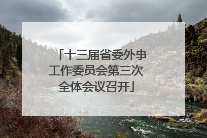 十三届省委外事工作委员会第三次全体会议召开