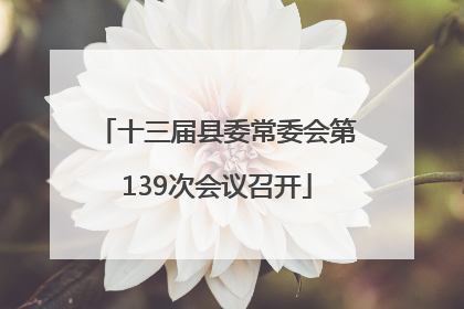 十三届县委常委会第139次会议召开