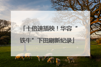 十倍速插秧！华容“铁牛”下田刷新纪录