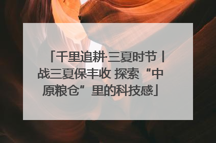 千里追耕·三夏时节丨战三夏保丰收 探索“中原粮仓”里的科技感