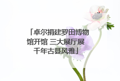 卓尔捐建罗田博物馆开馆 三大展厅展千年古县风雅