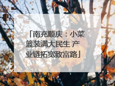 南充顺庆：小菜篮装满大民生 产业链拓宽致富路