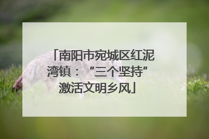 南阳市宛城区红泥湾镇：“三个坚持”激活文明乡风