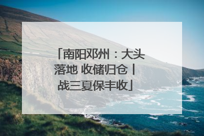 南阳邓州：大头落地 收储归仓丨战三夏保丰收