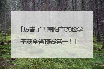 厉害了！南阳市实验学子获全省预赛第一！