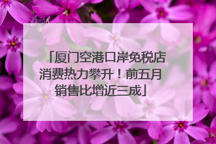 厦门空港口岸免税店消费热力攀升！前五月销售比增近三成