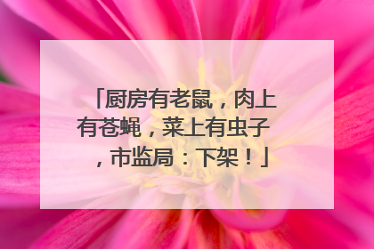 厨房有老鼠，肉上有苍蝇，菜上有虫子，市监局：下架！