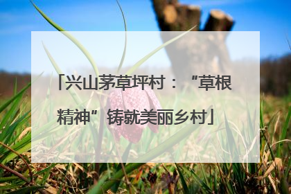 兴山茅草坪村：“草根精神”铸就美丽乡村