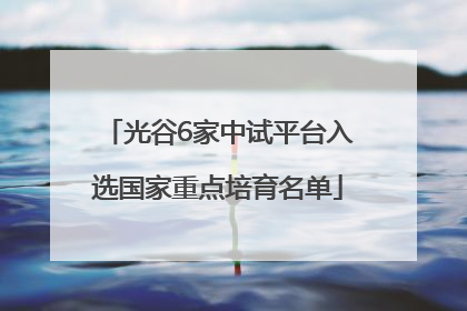 光谷6家中试平台入选国家重点培育名单