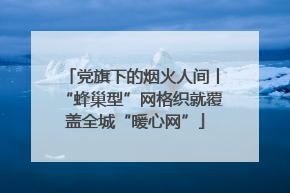 党旗下的烟火人间丨“蜂巢型”网格织就覆盖全城“暖心网”