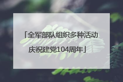 全军部队组织多种活动庆祝建党104周年