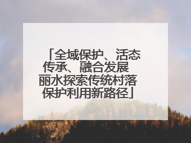 全域保护、活态传承、融合发展 丽水探索传统村落保护利用新路径