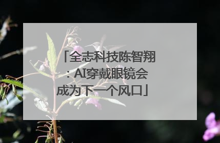 全志科技陈智翔：AI穿戴眼镜会成为下一个风口