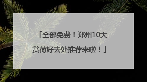 全部免费！郑州10大赏荷好去处推荐来啦！