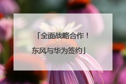 全面战略合作！东风与华为签约