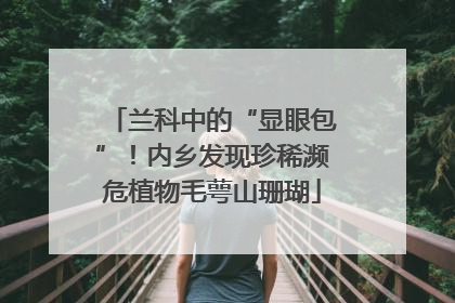 兰科中的“显眼包”！内乡发现珍稀濒危植物毛萼山珊瑚