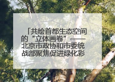 共绘首都生态空间的“立体画卷”——北京市政协和市委统战部聚焦促进绿化彩化美化生态空间建设联合协商议政