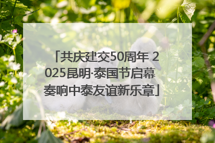 共庆建交50周年 2025昆明·泰国节启幕 奏响中泰友谊新乐章