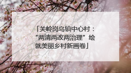 关岭岗乌镇中心村：“两清两改两治理”绘就美丽乡村新画卷