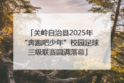 关岭自治县2025年“奔跑吧少年”校园足球三级联赛圆满落幕