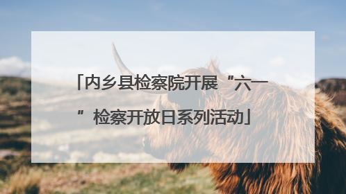 内乡县检察院开展“六一”检察开放日系列活动