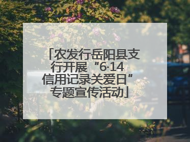 农发行岳阳县支行开展“6·14信用记录关爱日” 专题宣传活动