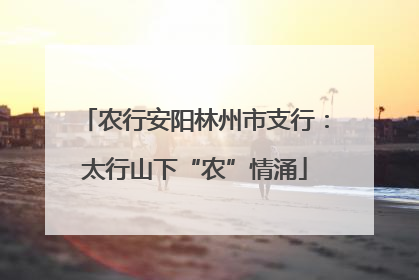 农行安阳林州市支行：太行山下“农”情涌