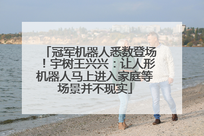 冠军机器人悉数登场！宇树王兴兴：让人形机器人马上进入家庭等场景并不现实