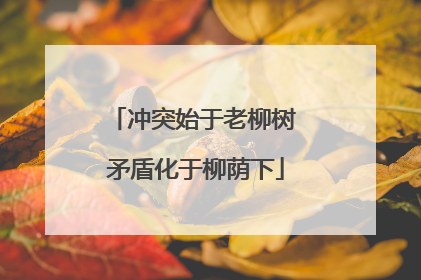 冲突始于老柳树 矛盾化于柳荫下