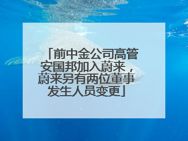 前中金公司高管安国邦加入蔚来，蔚来另有两位董事发生人员变更