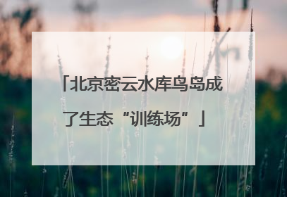 北京密云水库鸟岛成了生态“训练场”