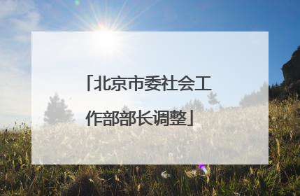 北京市委社会工作部部长调整