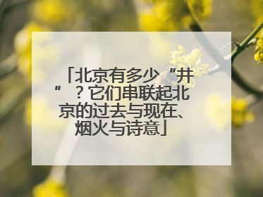 北京有多少“井”？它们串联起北京的过去与现在、烟火与诗意