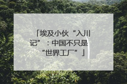 埃及小伙“入川记”：中国不只是“世界工厂”