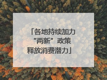 各地持续加力“两新”政策 释放消费潜力