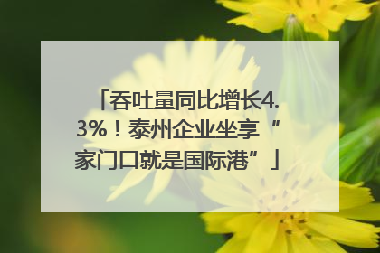 吞吐量同比增长4.3%！泰州企业坐享“家门口就是国际港”