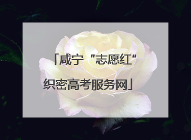 咸宁“志愿红”织密高考服务网