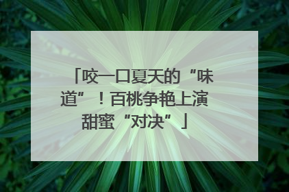咬一口夏天的“味道”！百桃争艳上演甜蜜“对决”