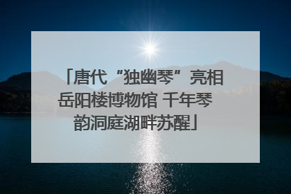 唐代“独幽琴”亮相岳阳楼博物馆 千年琴韵洞庭湖畔苏醒