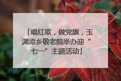 唱红歌，做党旗，玉渊潭乡敬老院举办迎“七一”主题活动