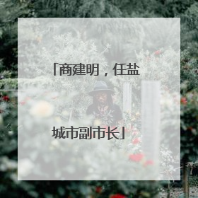 商建明，任盐城市副市长